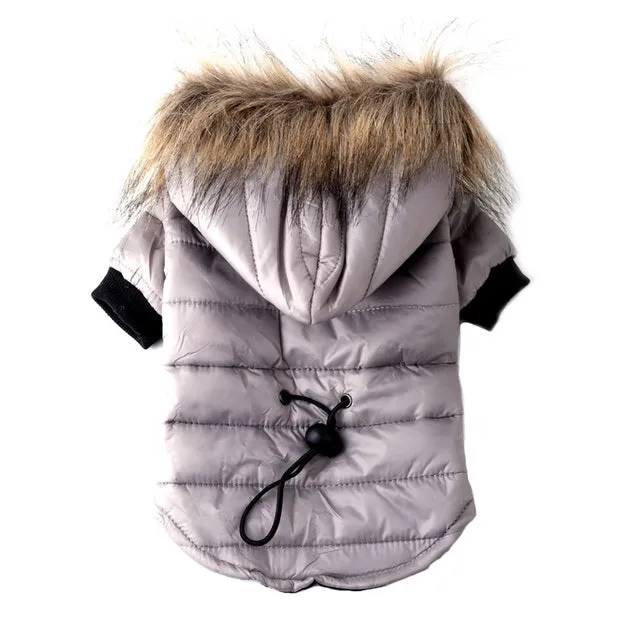 Coat Jacket Outfits For Dog Winter Clothes