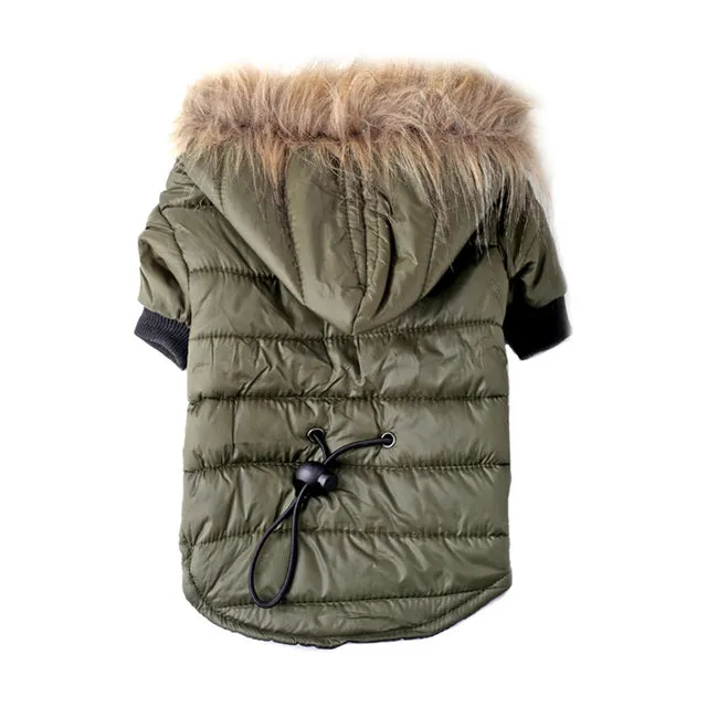 Coat Jacket Outfits For Dog Winter Clothes