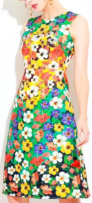 Floral Printed Multicolored Dress