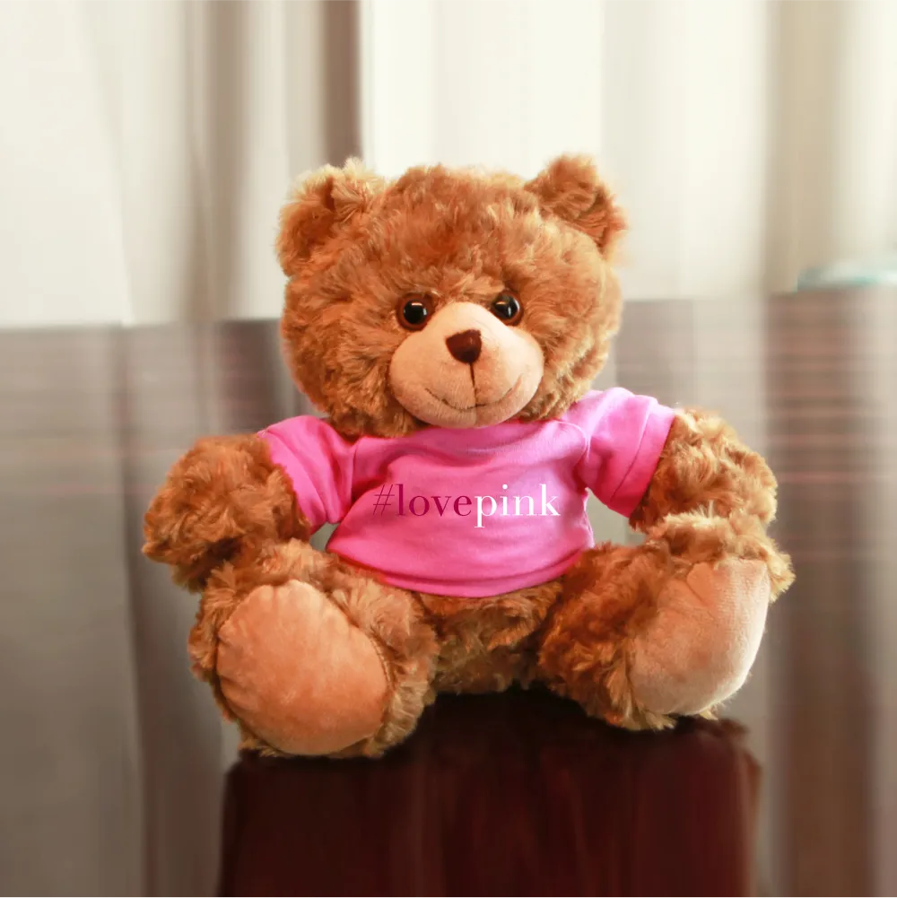 "Love Pink" Mocha Bear 6"